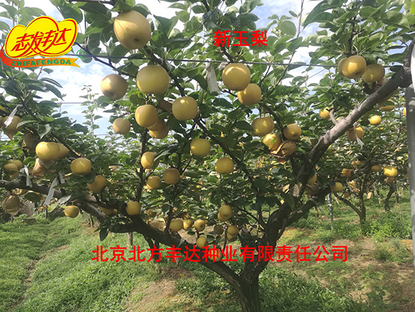 �������������ҵ���޹�˾